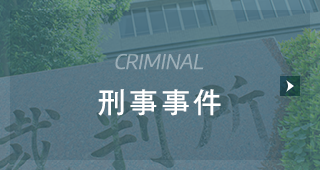 刑事事件CRIMINAL